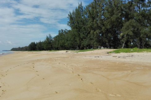Land in Phuket for sale Mai Khao beach front view